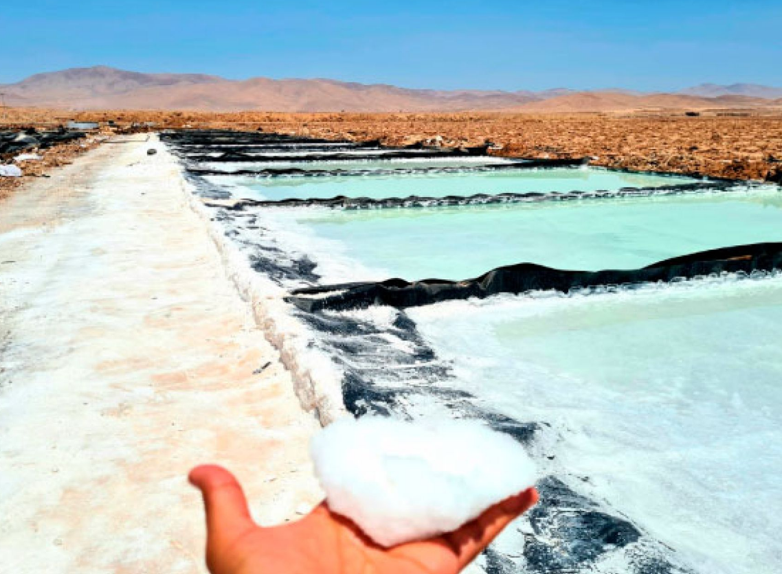 Dimensiones personalizadas 1138x836 px (2)